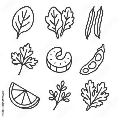 Green Salad Icons. Outline style icons of Green Salads: spinach leaf, mesclun mix, green beans, parsley sprig, celery slice,