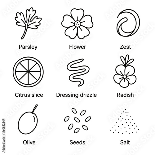Salad Garnish Icons. Outline style icons of Salad Garnish: parsley flake, edible flower, zest swirl, citrus slice, dressing