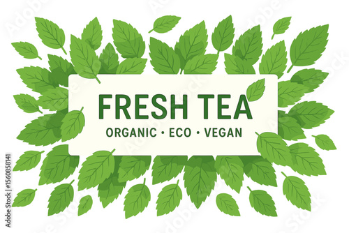 Vector illustration of a green leaves banner with fresh tea, organic eco vegan design, featuring a leaf falling on a white background, symbolizing herbal vegetarian beauty products, with fresh mint
