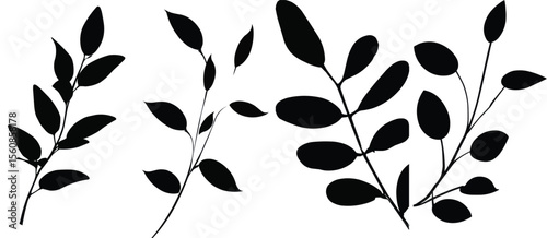 Set of black branches with leaves isolated on a white background