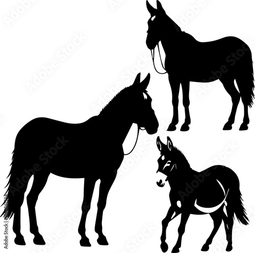 Comprehensive Farm Animal Vector Set

