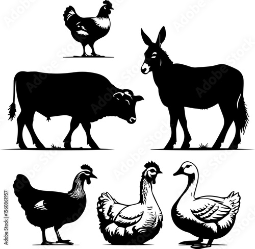 Black and White Farm Creatures

