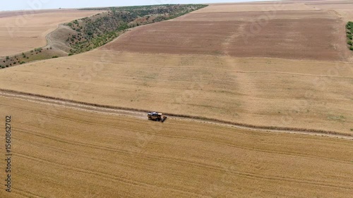Drone footage of a combine harvesting wheat. Grain field