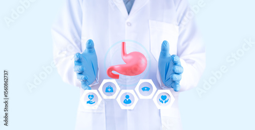 Gastroenterologist holding a model of the human stomach. Concept of digestive health, prevention, diagnosis, gastric anatomy, digestive system, and medical education.