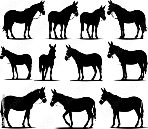 Domestic Livestock Variety Set

