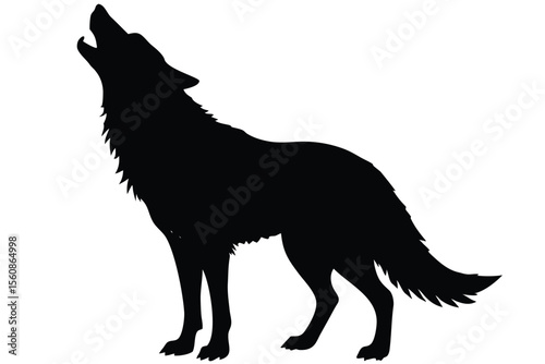 wolf vector illustration