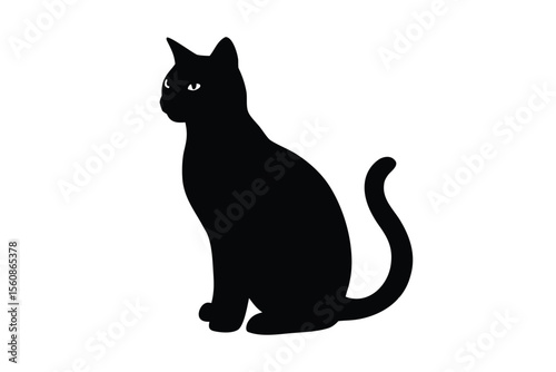 black and white cat