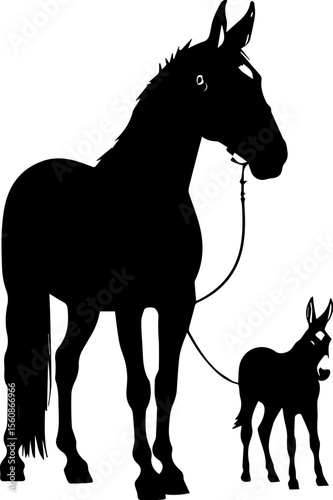 Horse and Mule Foal Silhouette

