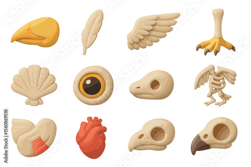 Whimsical bird-themed icons featuring wings, beaks, and claws