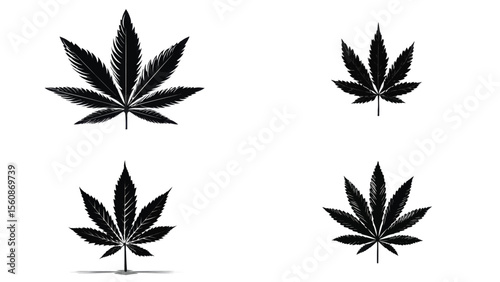 Set of four isolated black Marijuana leaf illustrations