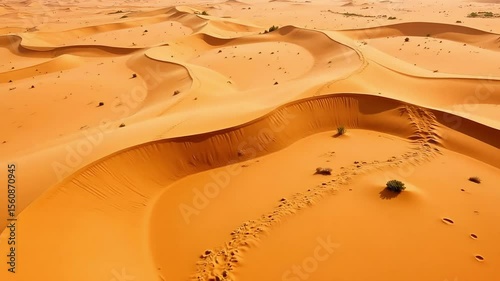 Expansive desert landscape showing sand dunes, arid terrain and horizon under a clear sky, capturing the beauty of arid environments.
