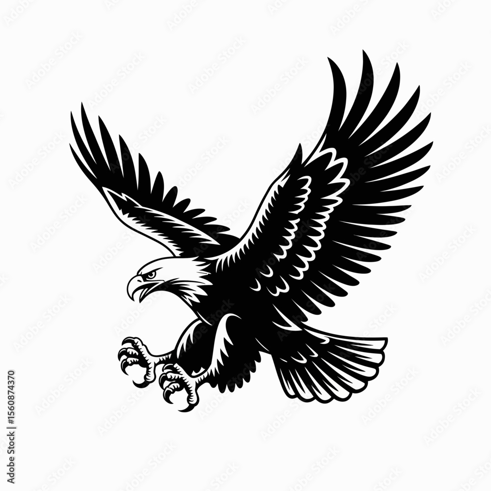 Obraz premium eagle in flight