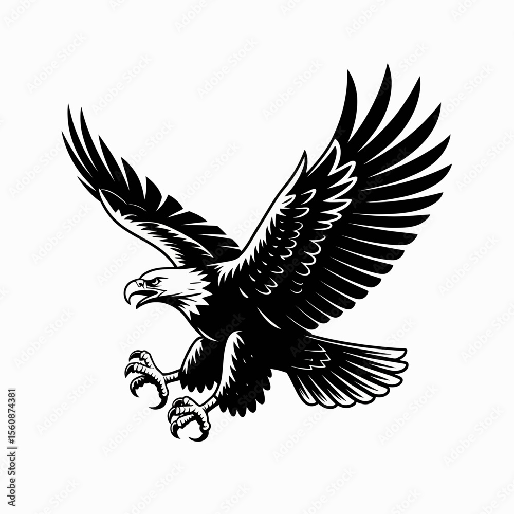 Obraz premium eagle with wings