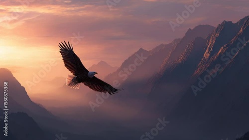 Bald Eagle Soaring Above Mountain Range at Sunset