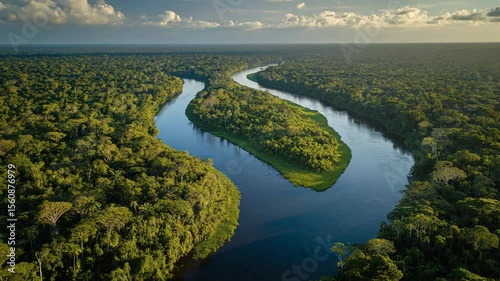 Aerial view of winding river through lush Amazon rainforest under a cloudy sky