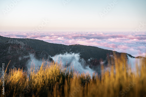 Sunset view of Pico do Arieiro mountain surrounded by pink clouds with blurred yellow grass in foreground, Madeira