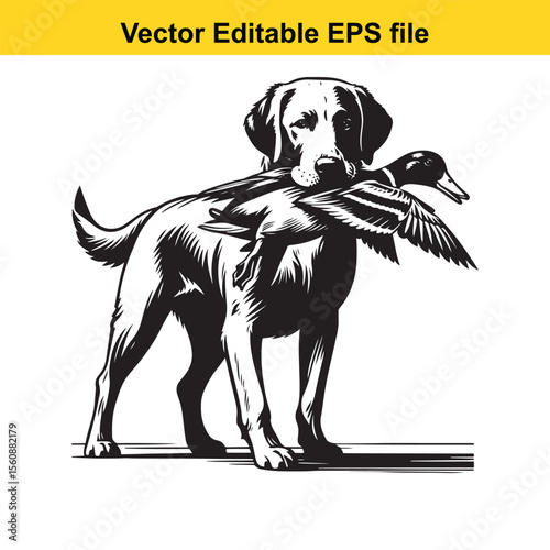 vector hunting Labrador retriever/ Brittany Spaniel dog Majestic Canine Retriever Amidst a Wetland Scene Hunting With Unwavering Focus Hunting Dog's Aquatic Pursuit The Quintessential Sporting Breed L