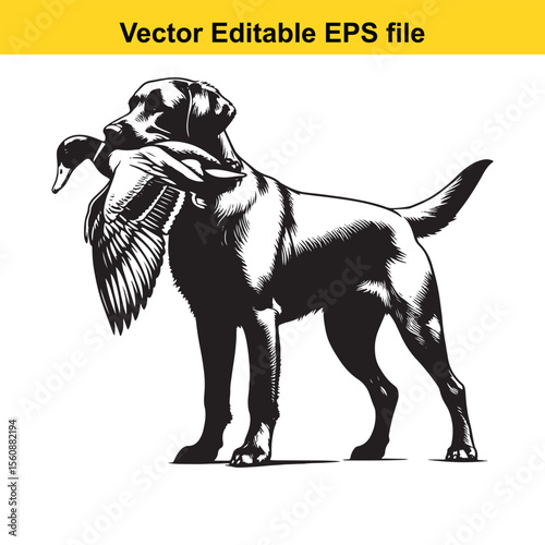 vector hunting Labrador retriever/ Brittany Spaniel dog Majestic Canine Retriever Amidst a Wetland Scene Hunting With Unwavering Focus Hunting Dog's Aquatic Pursuit The Quintessential Sporting Breed L