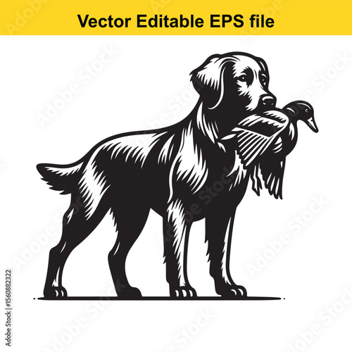 vector hunting Labrador retriever/ Brittany Spaniel dog Majestic Canine Retriever Amidst a Wetland Scene Hunting With Unwavering Focus Hunting Dog's Aquatic Pursuit The Quintessential Sporting Breed L