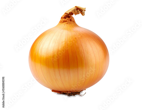Wallpaper Mural Whole Yellow Onion Isolated on Transparent Background Torontodigital.ca