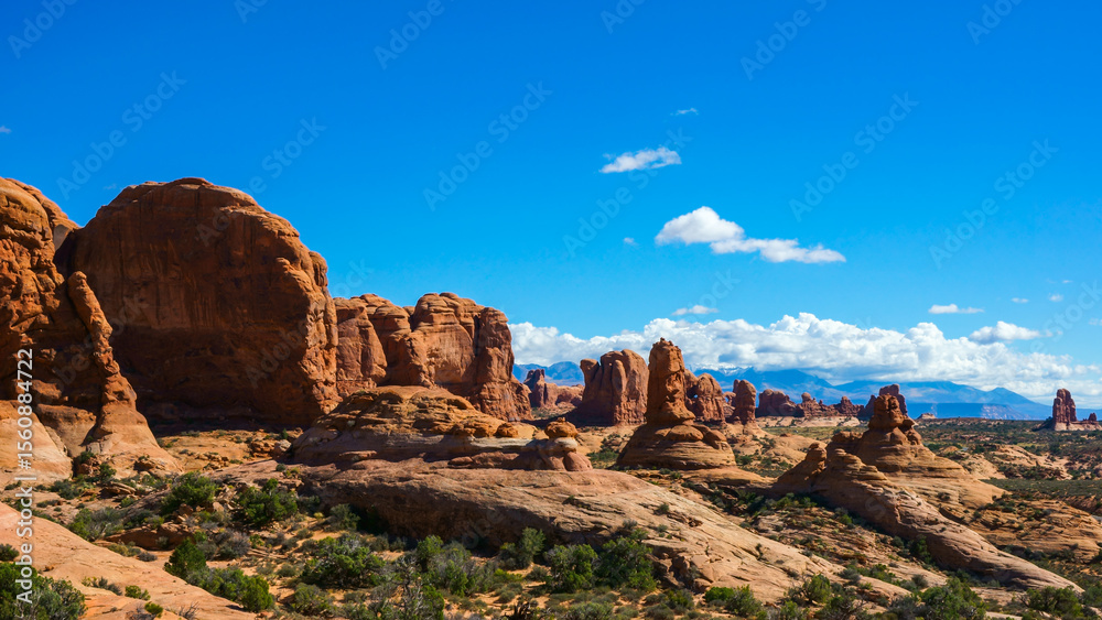 Fototapeta premium Arches National Park in Grand County, Utah 