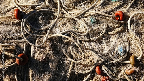 fishing net with ropes and buoys