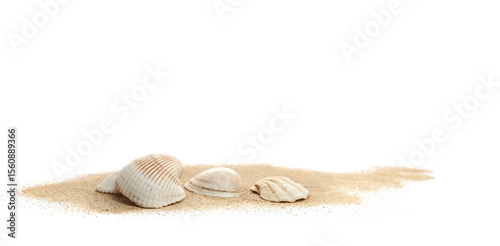 Wallpaper Mural Sea shell in sand pile isolated on white, side view	 Torontodigital.ca