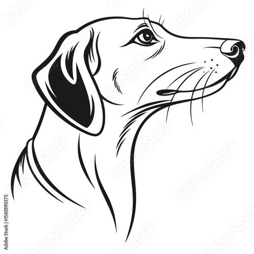 vector image of a dog