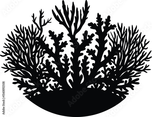Coral Reef Underwater Scene, Marine Life in Coral Landscape