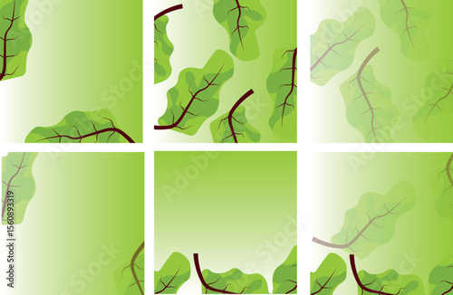 A set of 6 vector patterns inspired by the shape and vein structure of beet leaves. Stylized beet foliage with soft gradients and rich colors for eco packaging, food branding, textiles, seasonal decor