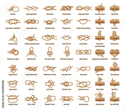 Sail boat rope knots types of marine ship string loops of sailor cables, vector icons set. Rope knot types with names of sailboat fasten strings and cords, square and overhand or sheet and sailor knot