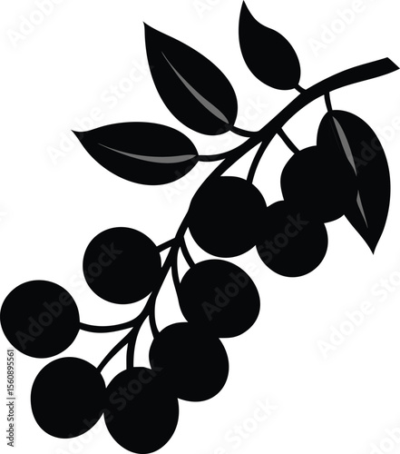 A small cluster of ripe blueberries on a green branch isolated on white background isolated on transparent background