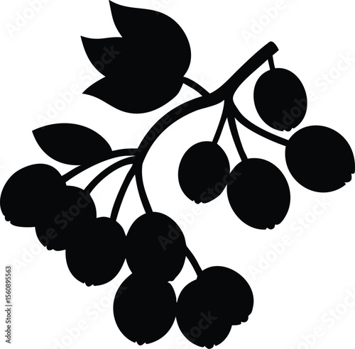 A small cluster of ripe blueberries on a green branch isolated on white background isolated on transparent background