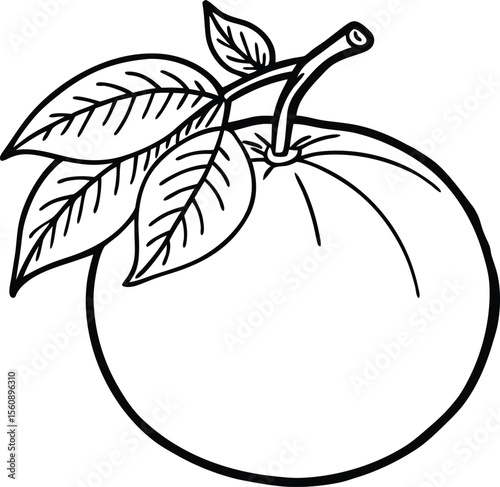 Vibrant orange fruit illustration with a refreshing juicy appearance isolated on white background isolated on transparent background