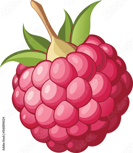 Detailed raspberry with visible internal round cell structure isolated on white background isolated on transparent background