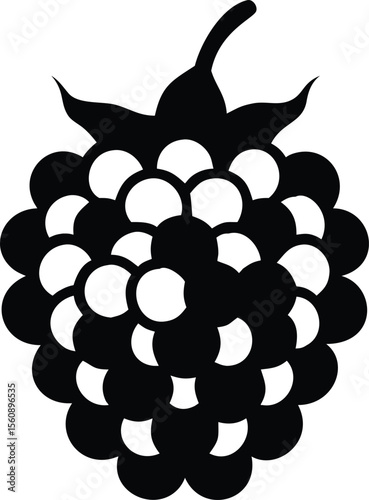 Detailed raspberry illustration with visible round cell structure isolated on white background isolated on transparent background