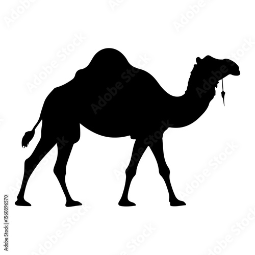 Silhouette of a dromedary camel standing isolated on white background art