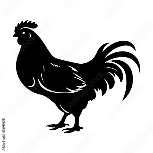Strong and proud black rooster silhouette on a clean white background design