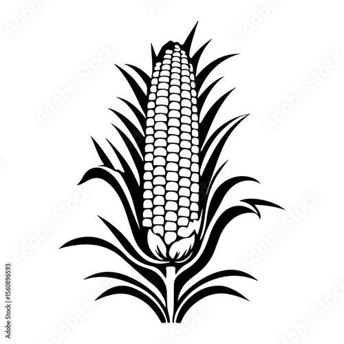 Stylized Black and White Corn on the Cob Vector Illustration