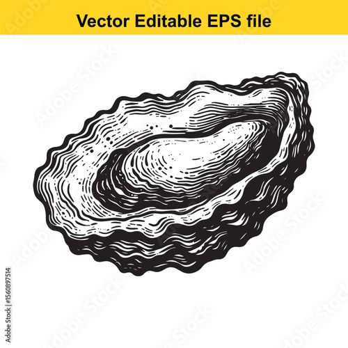 Elegant Oyster Shell Hand Drawn Illustration for Seafood Menu and Gourmet Food Promotion An intricate vector graphic of an oyster presenting culinary delicacy and seaside freshness Suitable for luxury