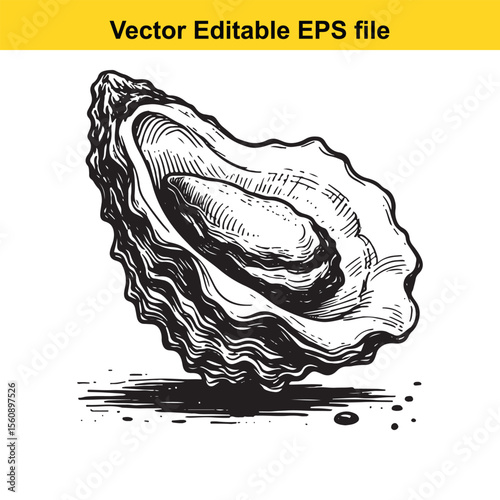Elegant Oyster Shell Hand Drawn Illustration for Seafood Menu and Gourmet Food Promotion An intricate vector graphic of an oyster presenting culinary delicacy and seaside freshness Suitable for luxury