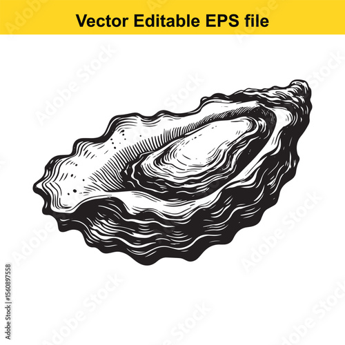 Elegant Oyster Shell Hand Drawn Illustration for Seafood Menu and Gourmet Food Promotion An intricate vector graphic of an oyster presenting culinary delicacy and seaside freshness Suitable for luxury