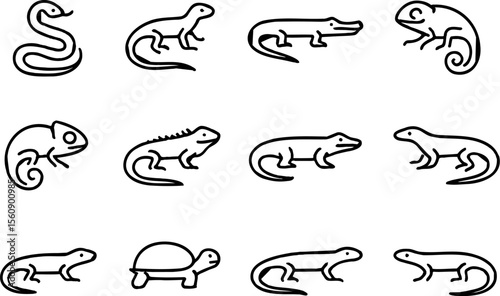 Illustration of various pet birds including budgie, canary, cockatiel, dove, and macaw in simple line style