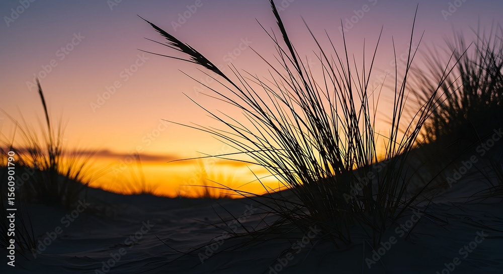 Fototapeta premium Grass Silhouettes on Sand Dunes at Colorful Sunset