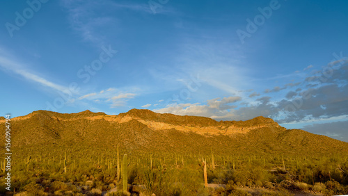 Desert landscape