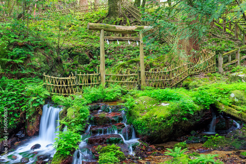 初夏の瓜割の滝　福井県三方上中郡　Uriwari Falls in early summer. Fukui Pref, Mikatakaminaka District. photo