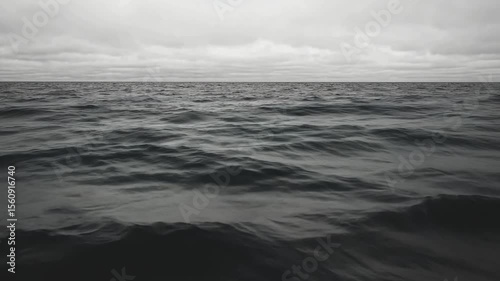 A grayscale view of a vast, still ocean