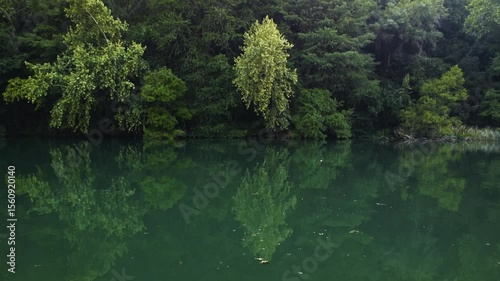 Lush green trees and a blue sky beautifully reflect upon a serene river, showcasing nature's tranquil landscape