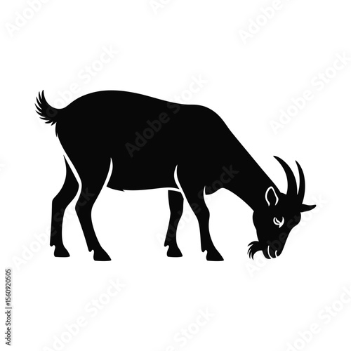 Black silhouette of a goat grazing on a white background silhouette isolated on white background