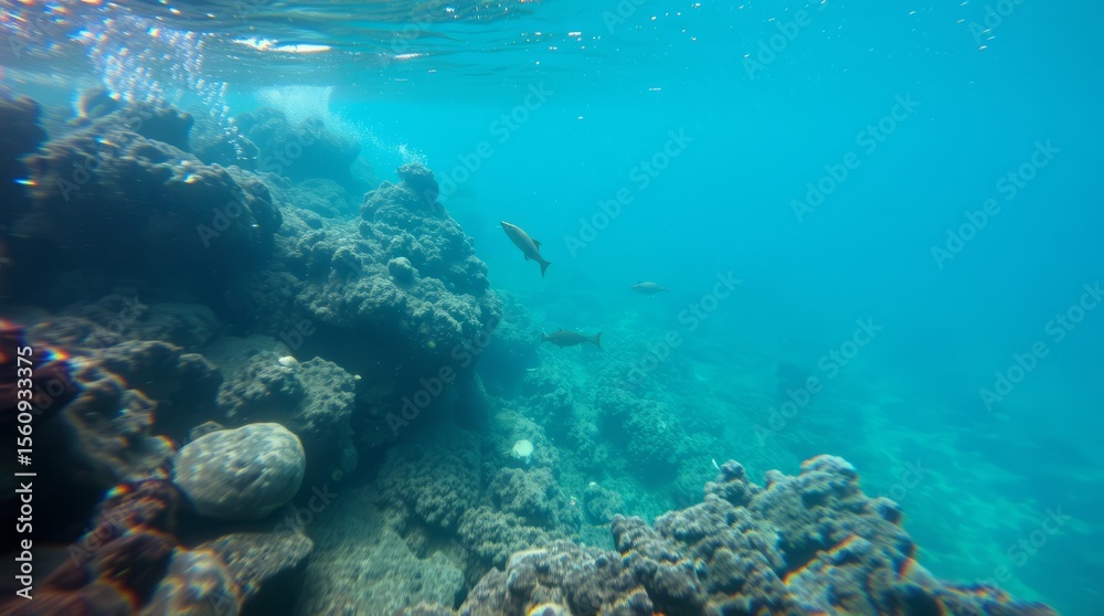 Fototapeta premium Underwater Wonders: A stunning underwater panorama of coral reefs teeming with aquatic life, where sunlight dances on the sea bed, evoking a sense of the ocean's timeless beauty.
